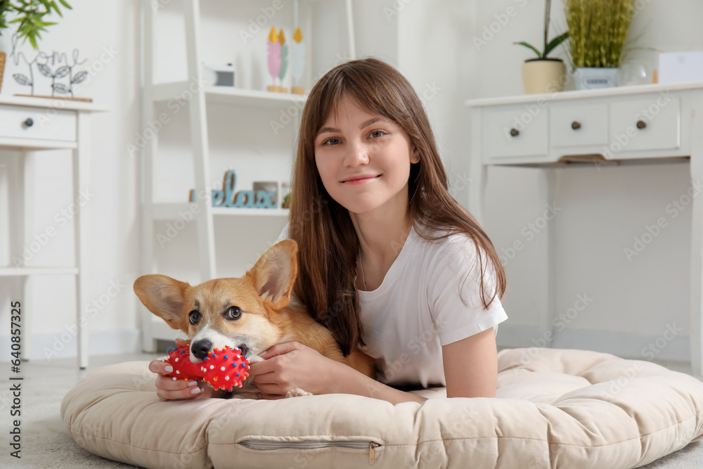 Pretty young woman lying on pet bed and playing with cute Corgi dog in living room