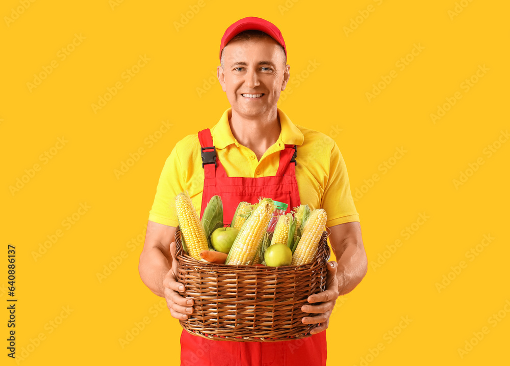 Mature male farmer with wicker basket full of different ripe vegetables on yellow background