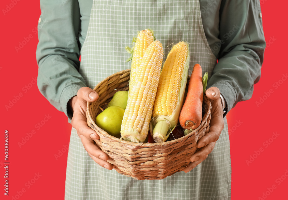 Mature male farmer with wicker basket full of ripe vegetables on red background