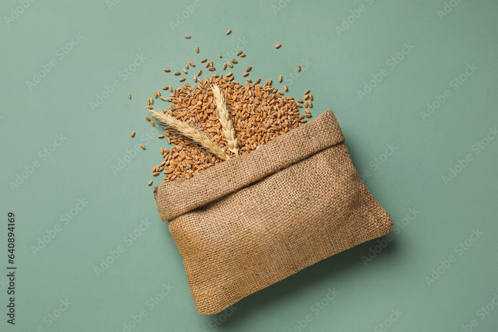 Sack with wheat grains and ears on green background