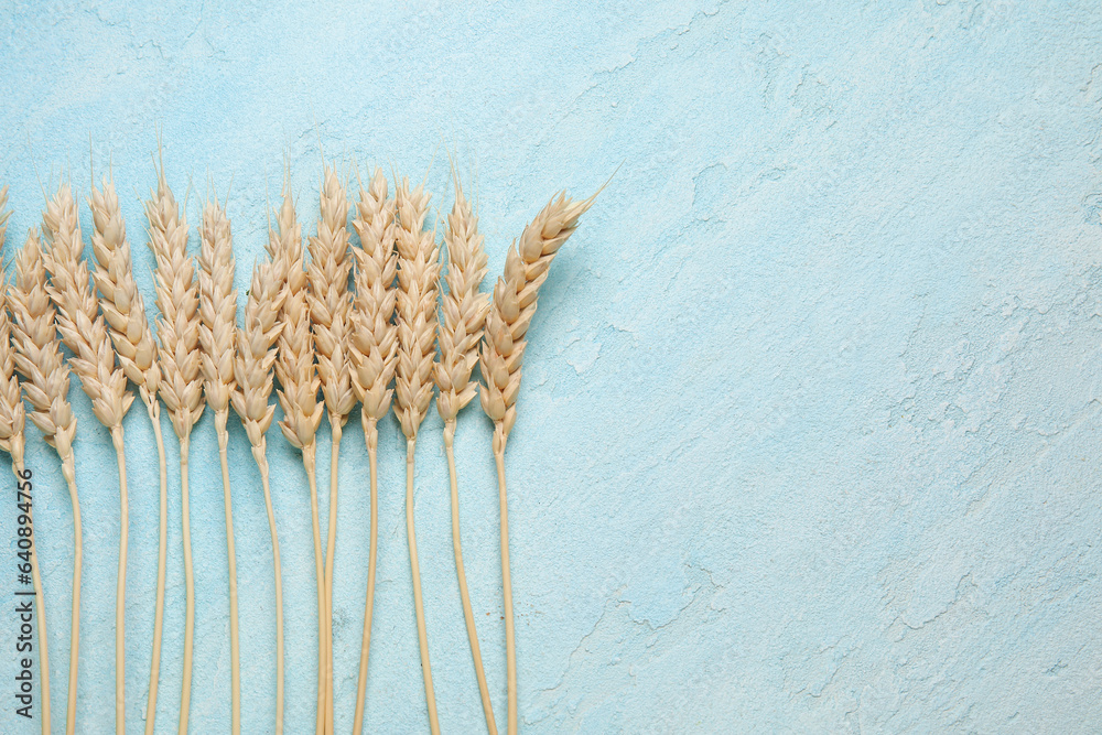 Wheat ears on blue background