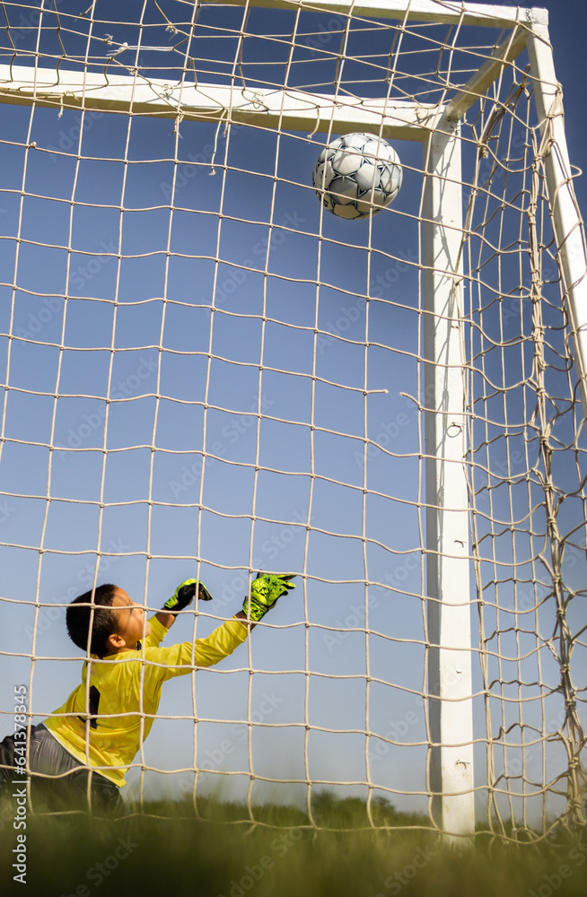 Soccer goal with a young boy goalkeeper.