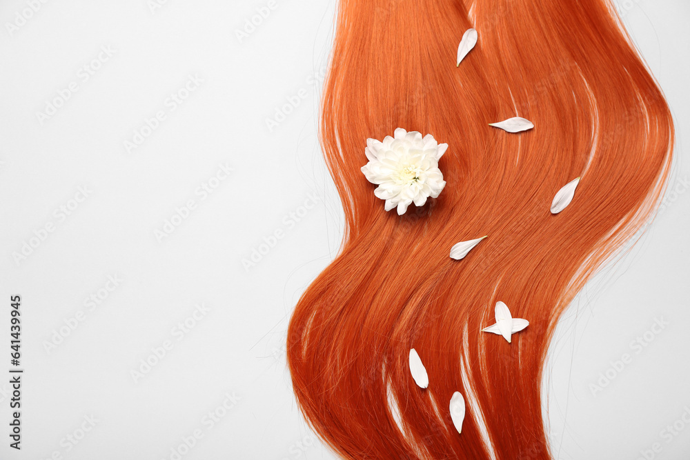 Composition with ginger hair and flower petals on white background, closeup