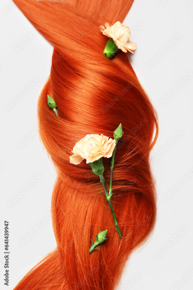 Beautiful ginger hair with carnation flowers on white background, closeup