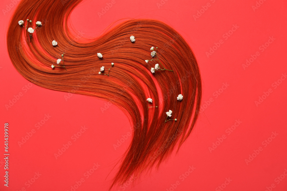 Composition with red hair strand and flowers on red background, closeup