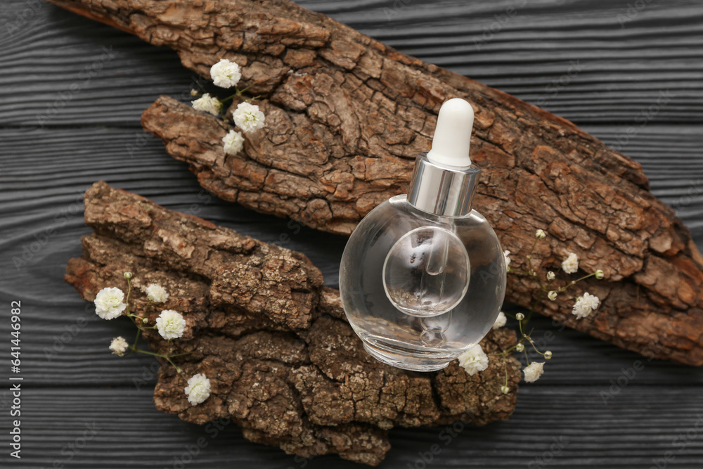 Bottle of essential oil, tree bark and gypsophila flowers on dark wooden background, closeup