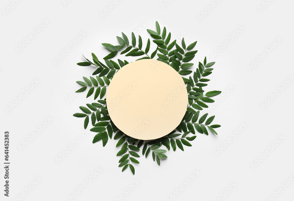 Green leaves of acacia tree with round blank card on white background