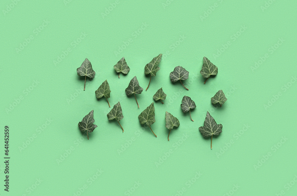 Ivy leaves on green background