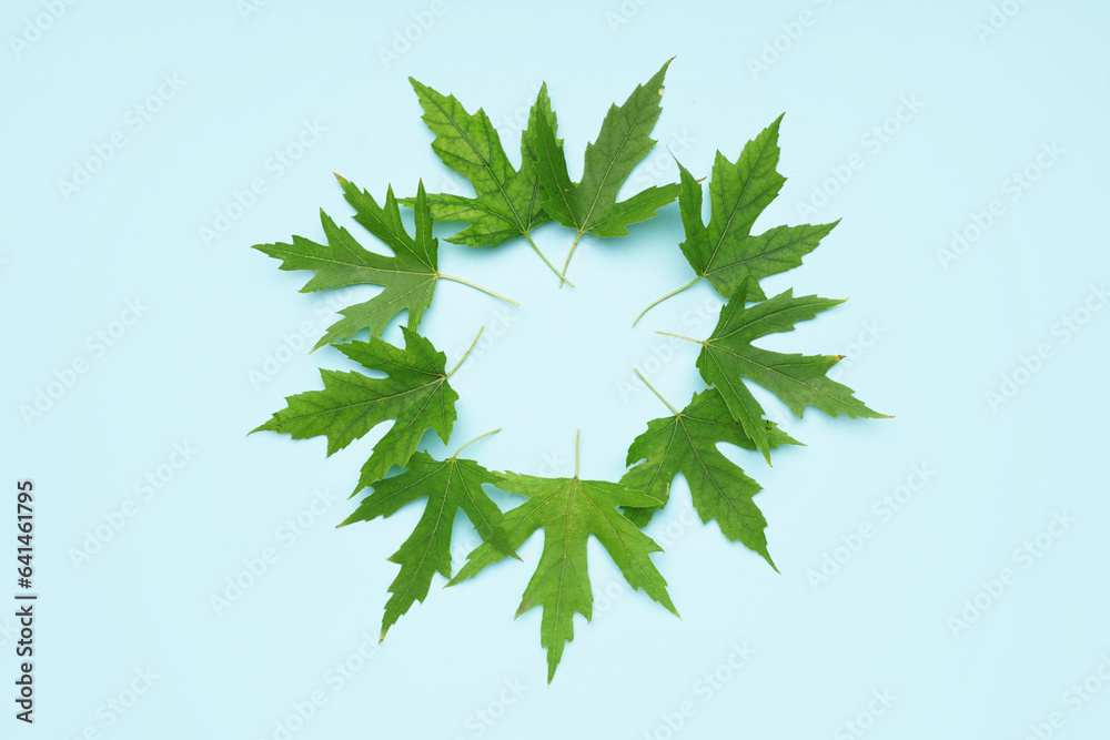 Frame made of green leaves on blue background