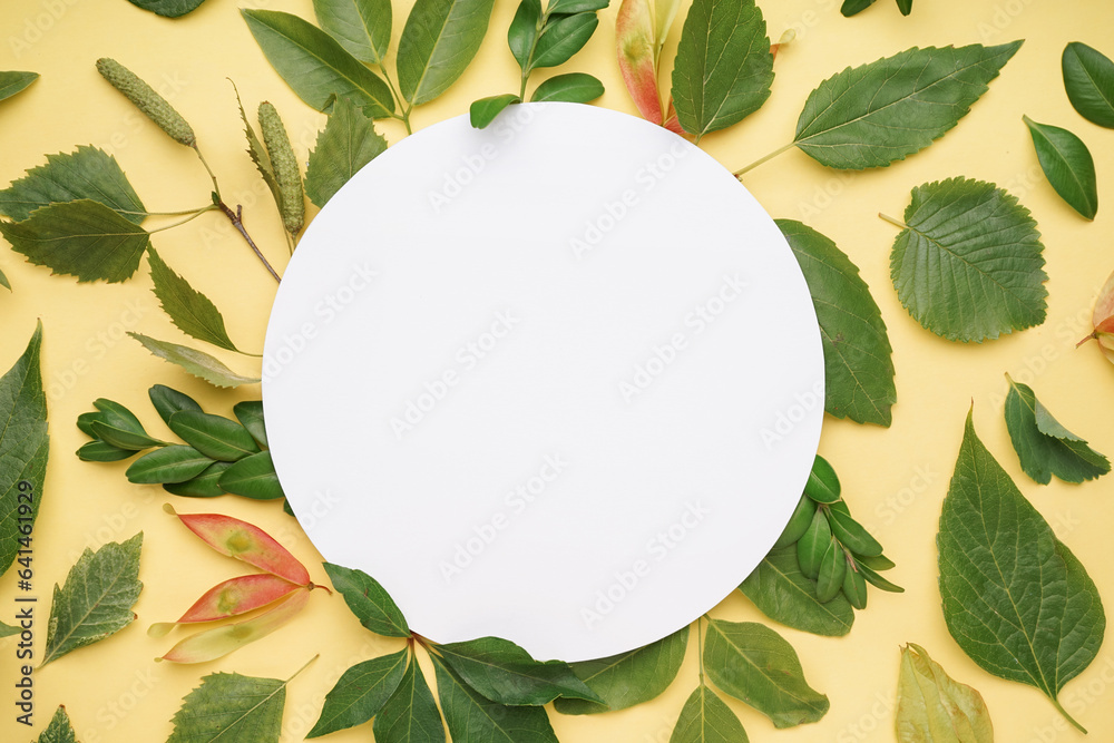 Round blank card with green leaves on pink background