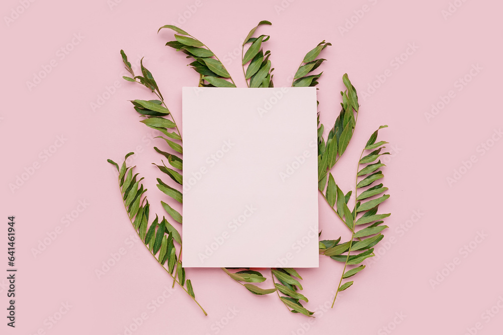 Blank card with green leaves of acacia tree on pink background