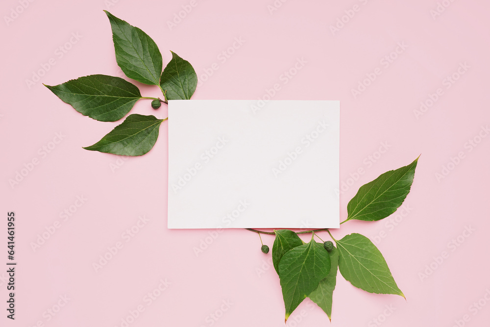 Blank card with green leaves on pink background