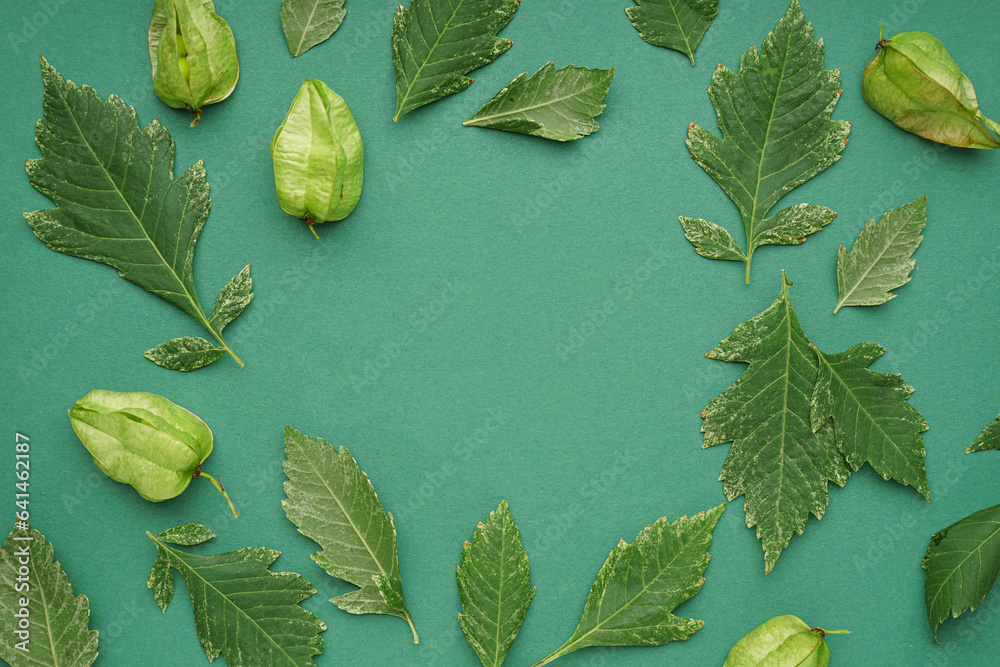 Frame made of green leaves on color background