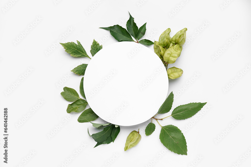 Round blank card with green leaves on white background