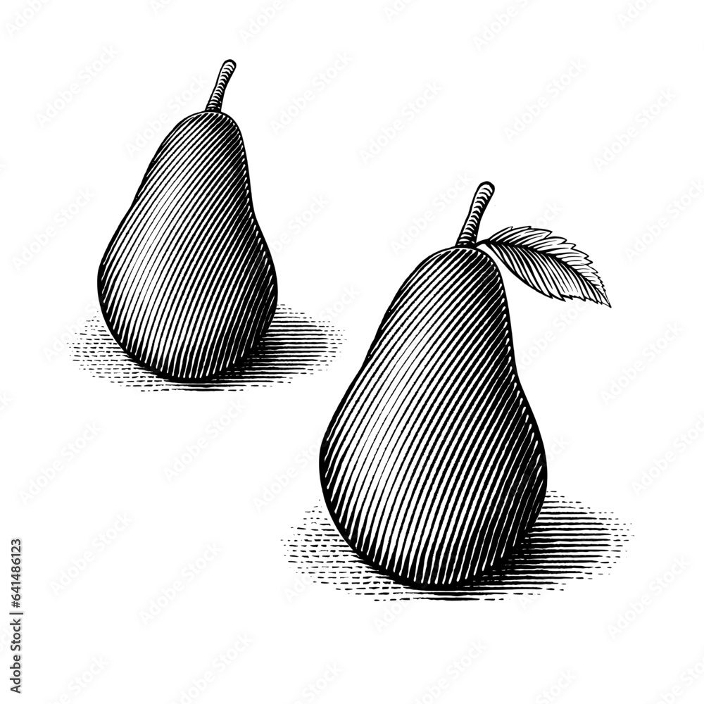 An illustration of a pear and a pear with a leaf, the illustration is in a vintage woodcut style. 