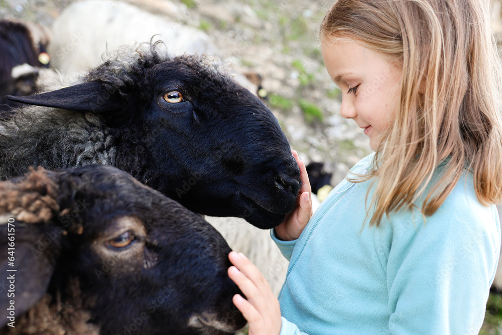 happy smiling child girl hugging sheep at farm, children love play animal, kid on nature, positive e