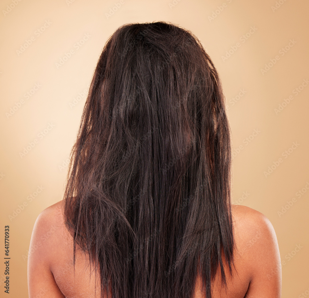 Damaged, hair and back of messy woman in studio, background or haircare for tangled, brittle or friz