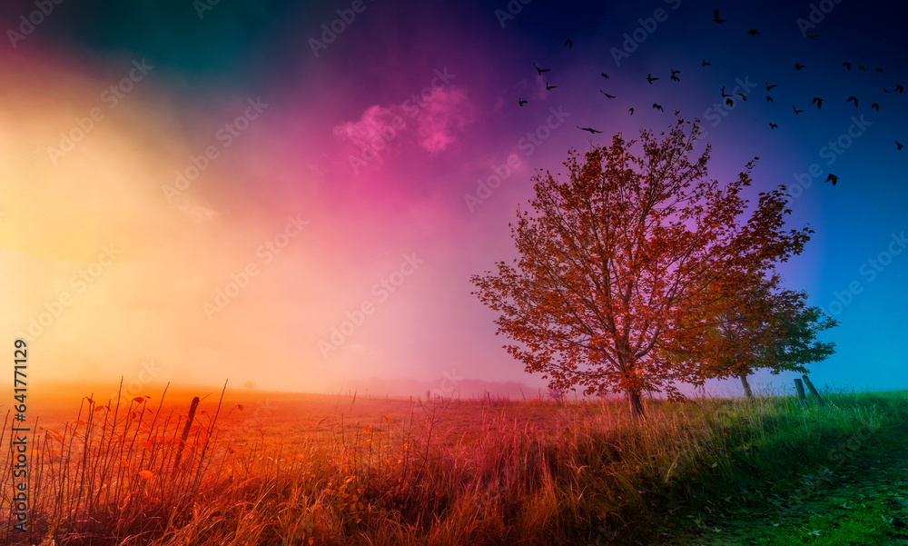 an autumnal landscape and fog