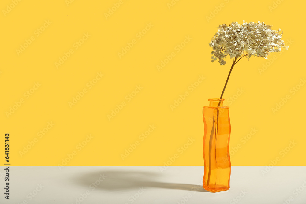 Vase with dried white flowers on yellow background