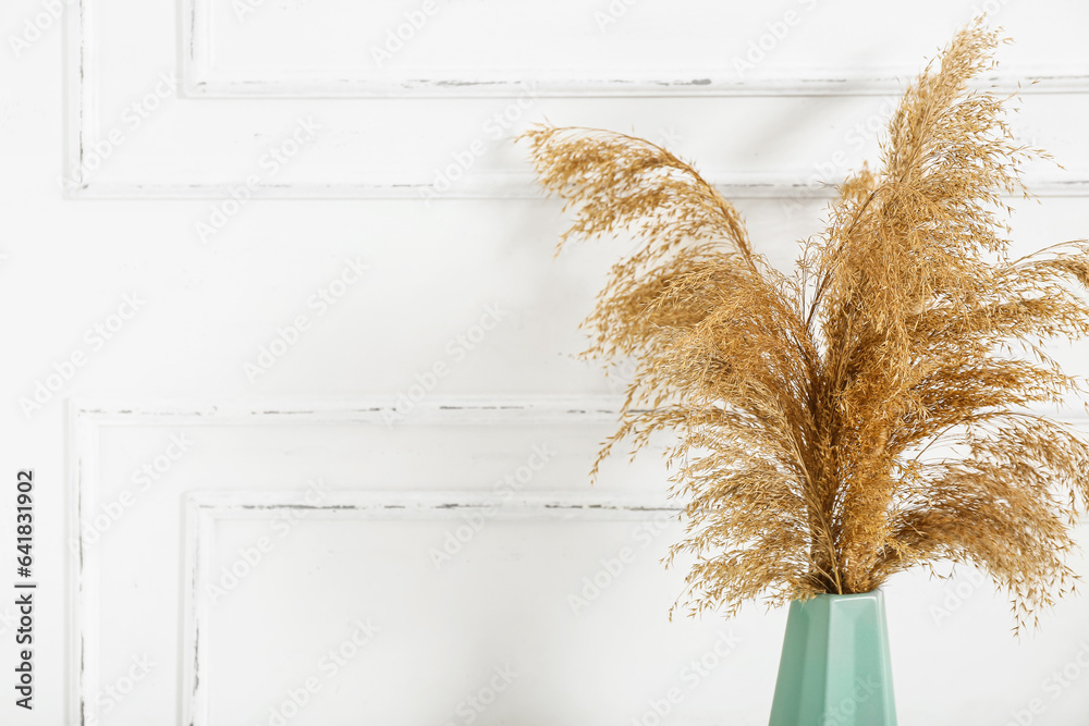 Vase with pampas grass on white table near wall