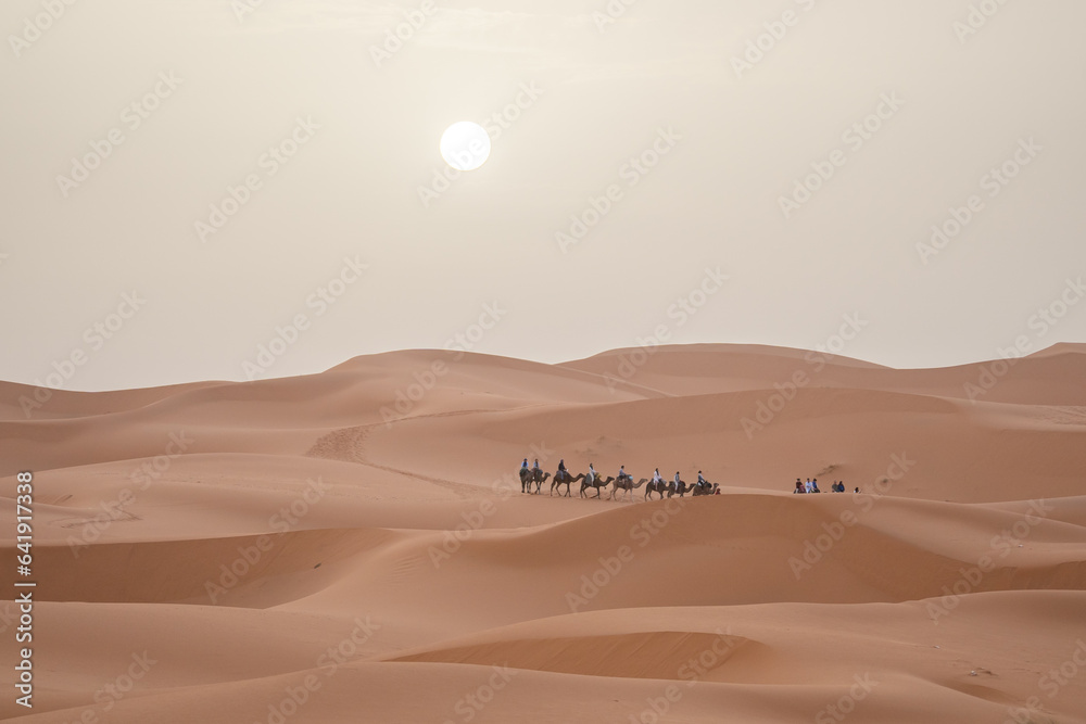 Camel trek during sunrise with tourists in the sahara desert, Merzouga Morocco