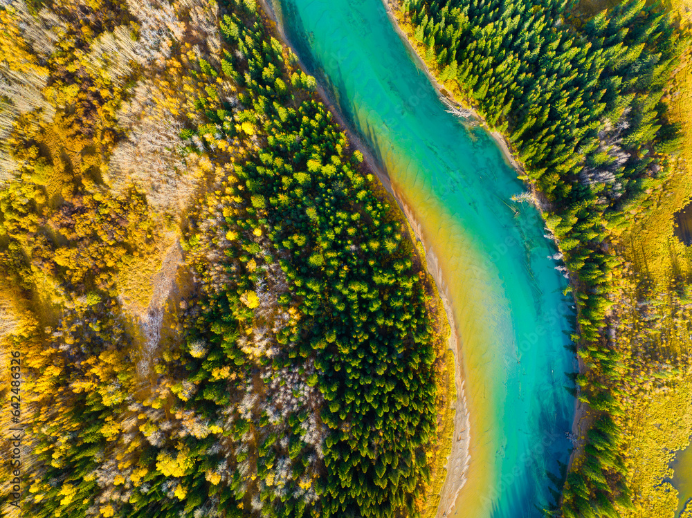 Fall landscape. A drone view of the river in the woods. An aerial view of an autumn forest. Winding 