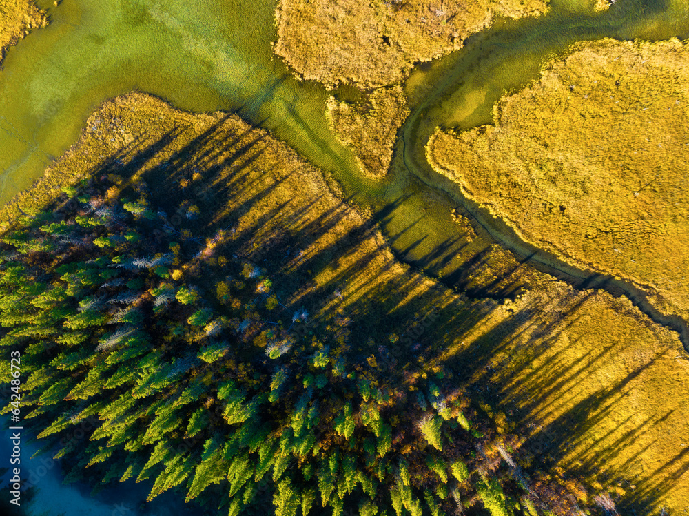 Fall landscape. A drone view of the river in the woods. An aerial view of an autumn forest. Winding 