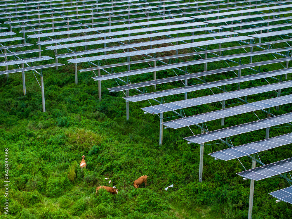 Solar photovoltaic panel aerial photography