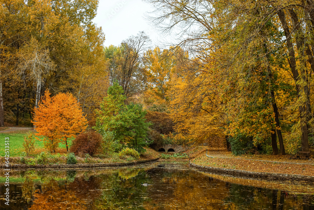 View of beautiful autumn park with lake and trees