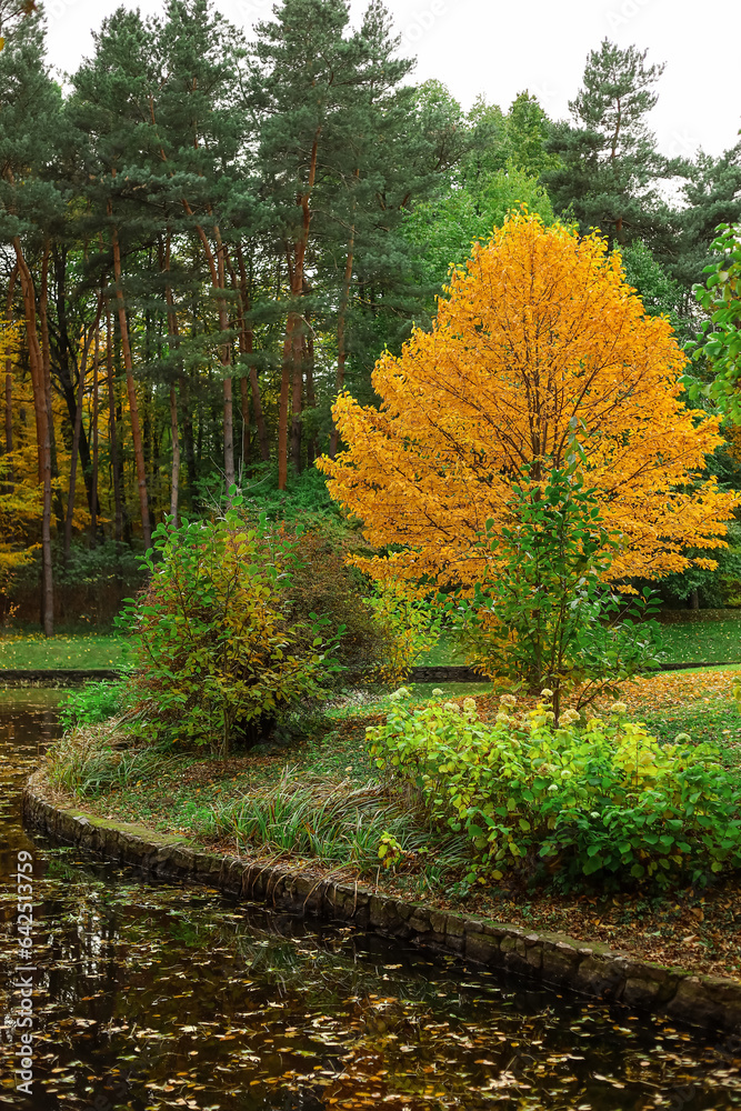 View of beautiful autumn park with lake and trees