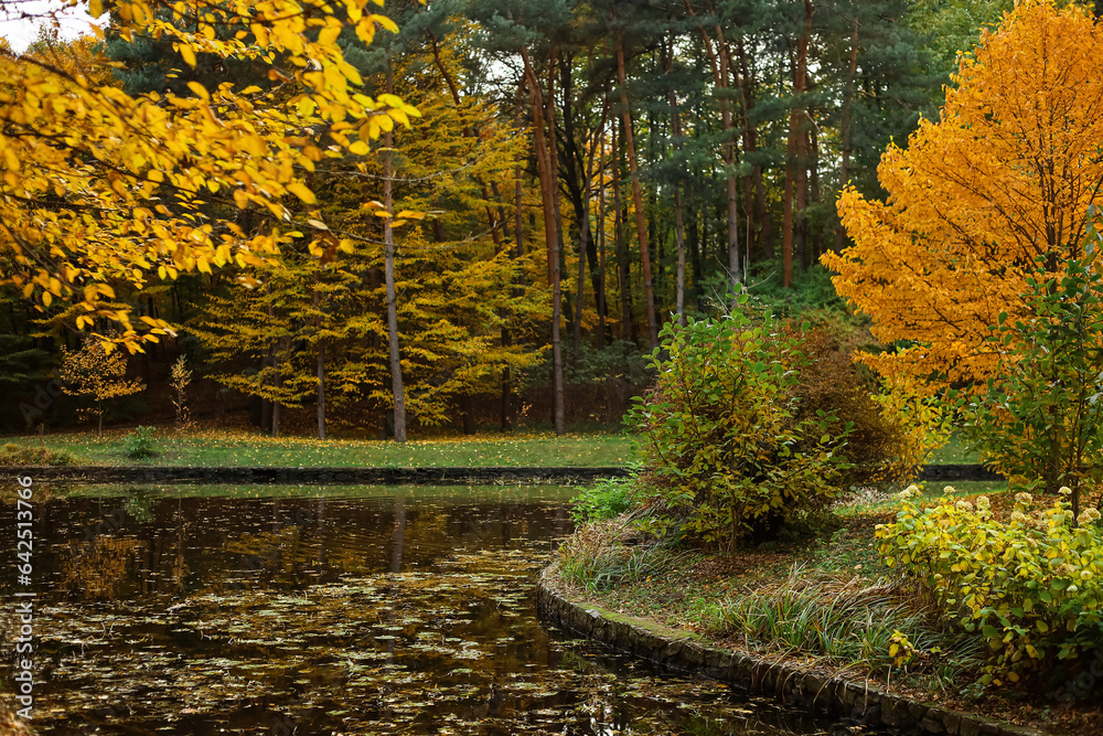 View of beautiful autumn park with lake and trees