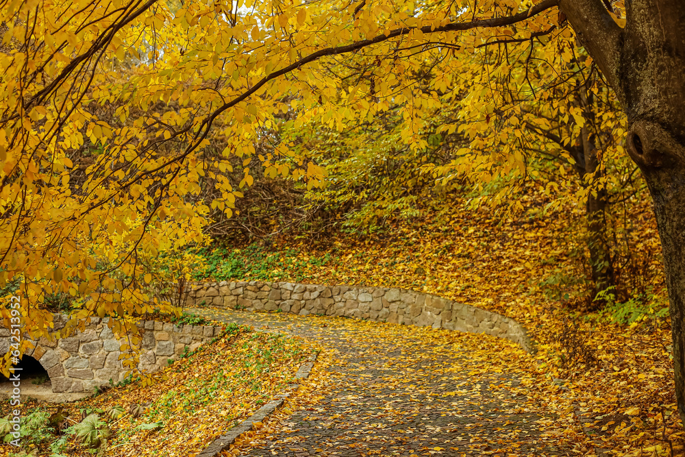 View of beautiful autumn park with trees and fallen leaves