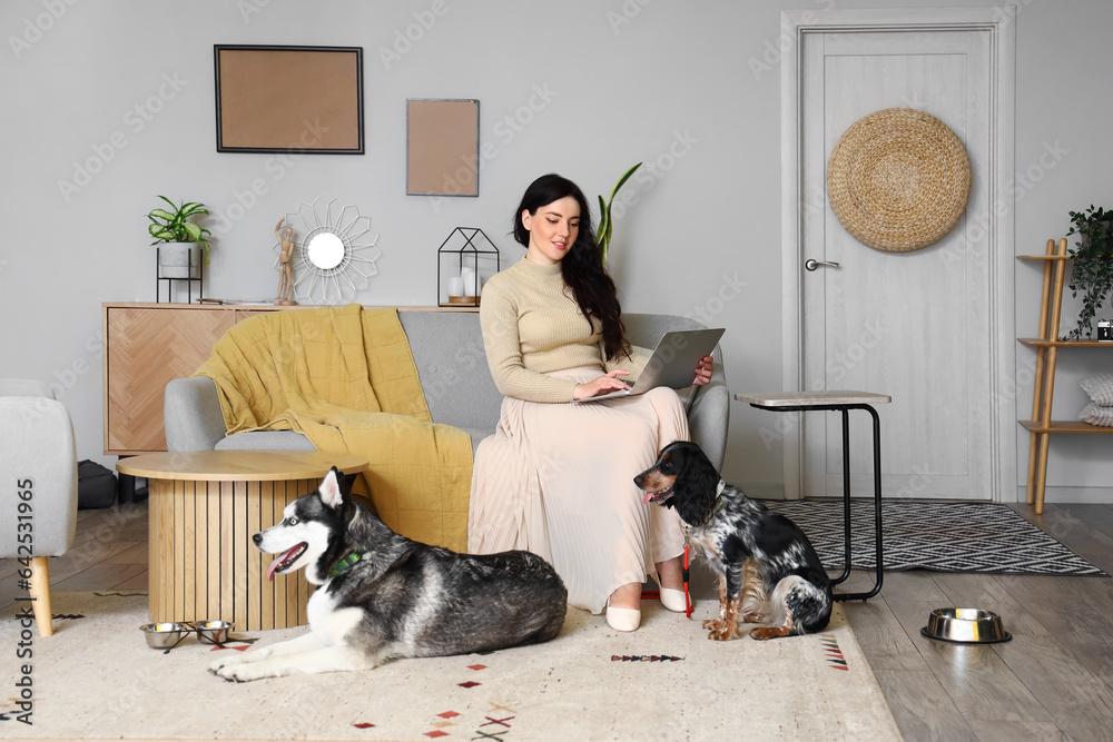 Young woman with laptop and cute dogs at home