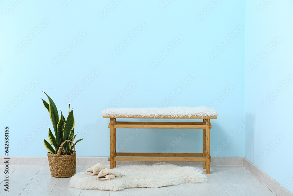 Wooden bench, houseplant and stylish slippers near color wall