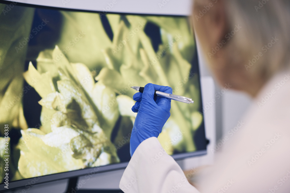 Science, hand and computer monitor in a laboratory for research, innovation or sustainability. Techn