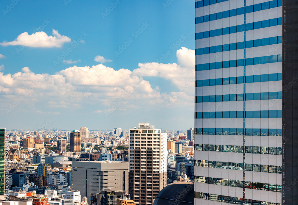 Skyscrapers towering above the cityscape of Nishi-Shinjuku, Tokyo, Japan