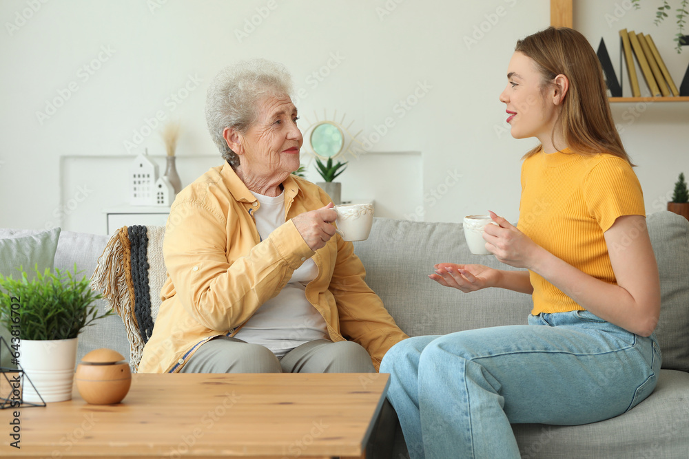 Young woman with her grandmother drinking tea on sofa at home