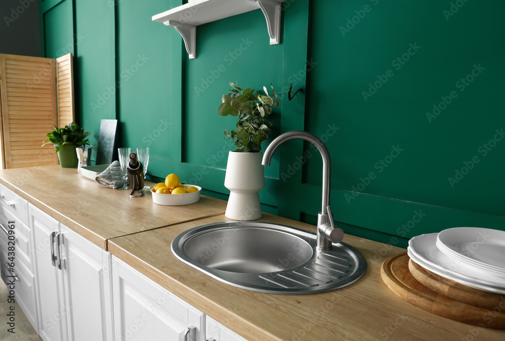 Vase with eucalyptus branches, sink and utensils in modern kitchen