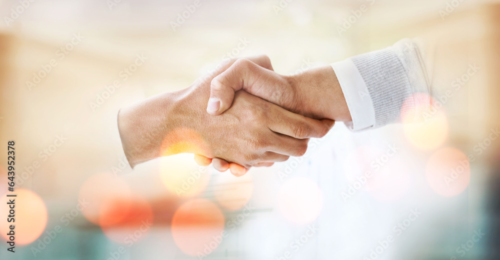 Mockup, success or business people shaking hands in b2b meeting for negotiation or contract agreemen