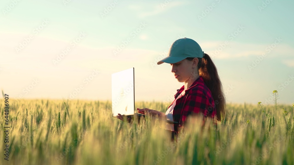 Agricultural business concept. Grow food. Woman businessman with laptop in her hands works in wheat 