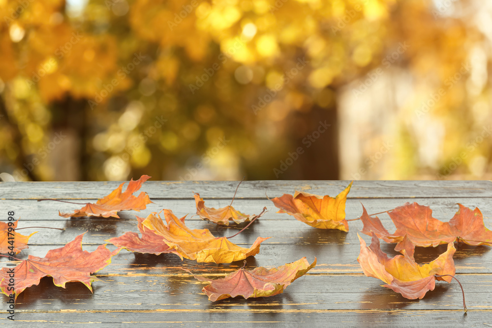 Dry autumn leaves on wooden table outdoors