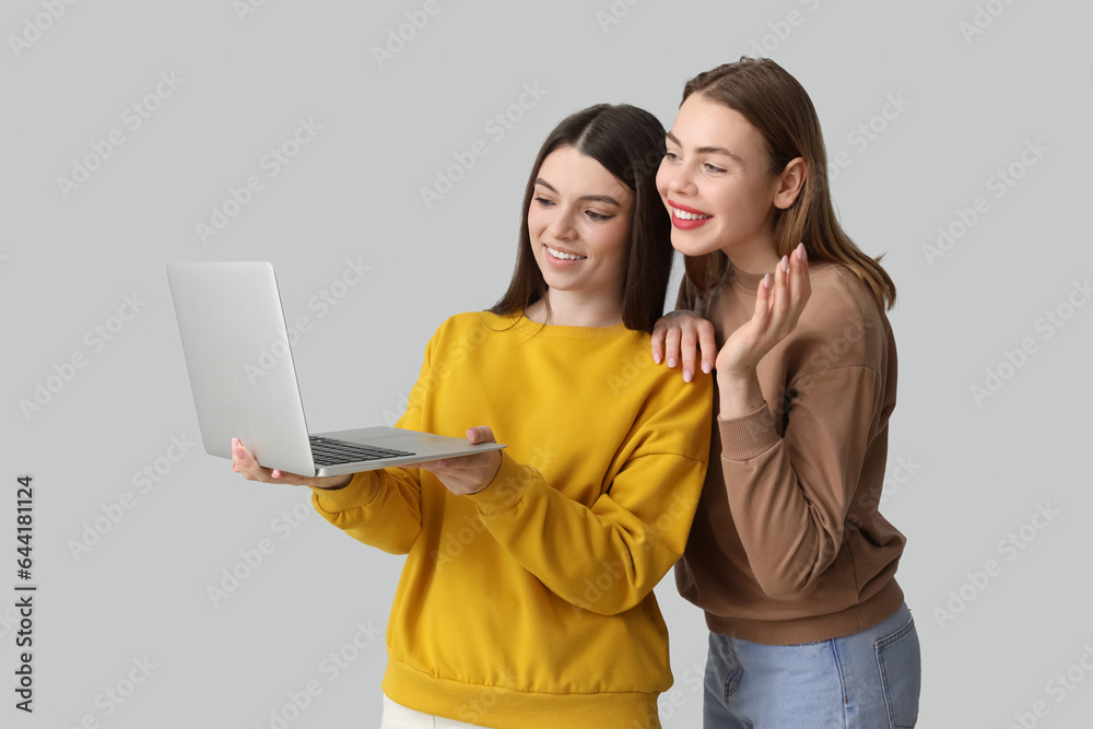 Female friends using laptop on light background