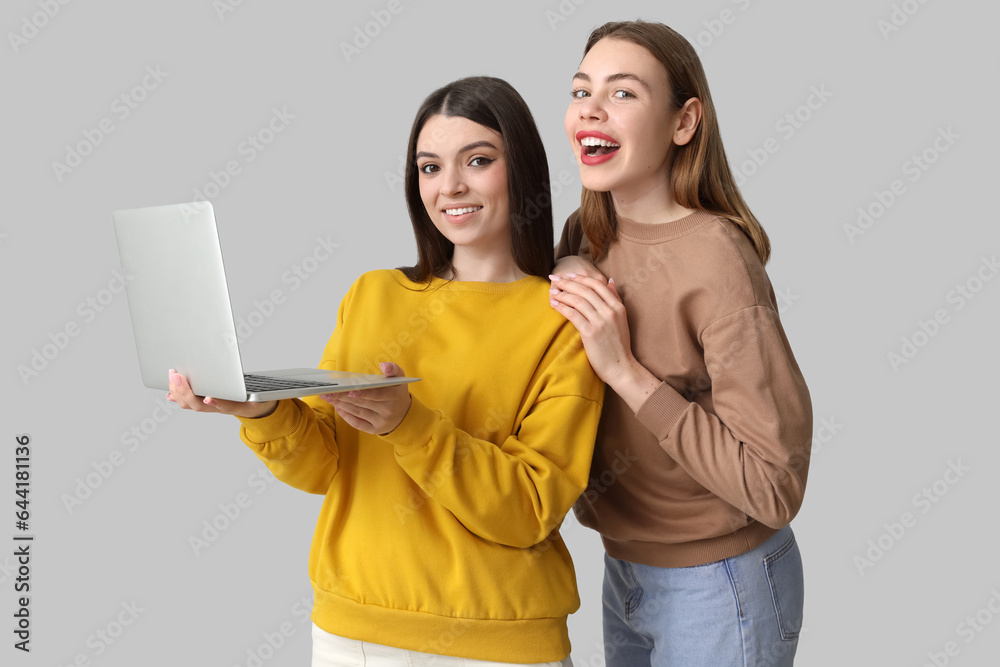 Female friends using laptop on light background