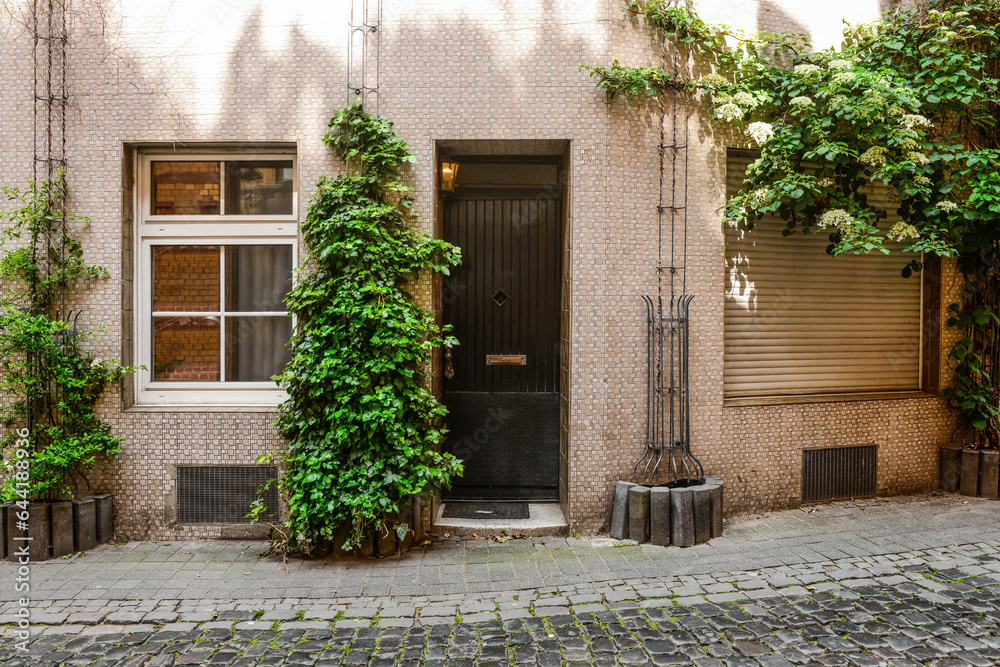 View of beautiful house with door and ivy