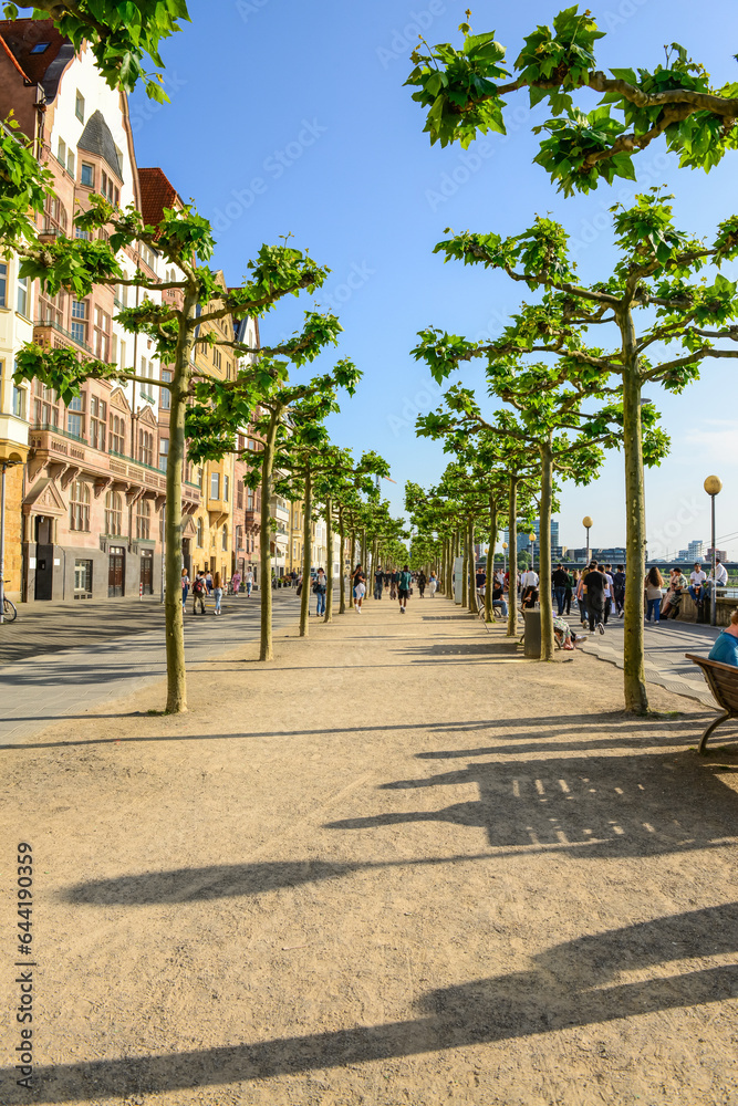 View of beautiful promenade with trees in city