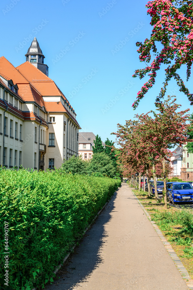 View of city street with pathway and green bushes