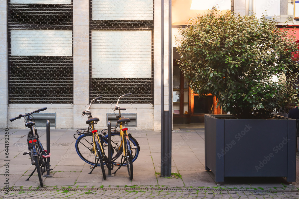 Modern bicycles parked on city street