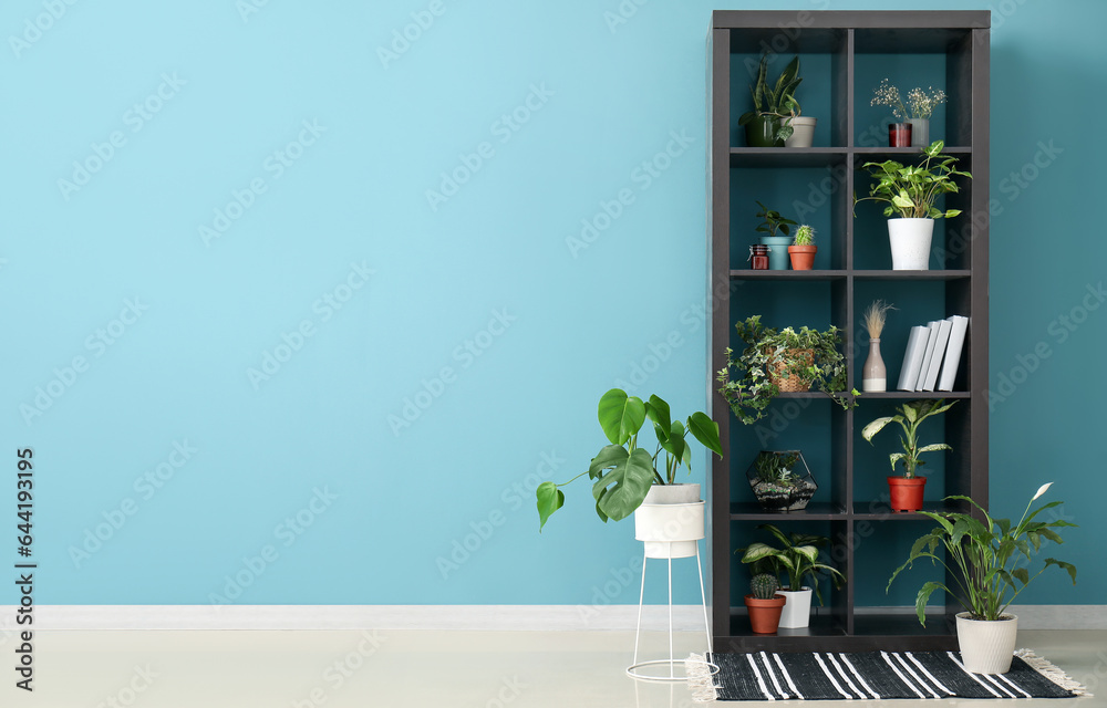 Shelving unit with houseplants and books near blue wall in room