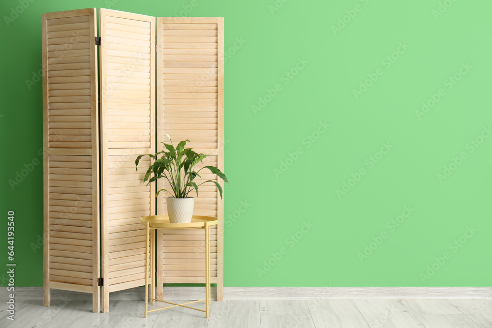 Beautiful houseplant on table and folding screen near green wall in room