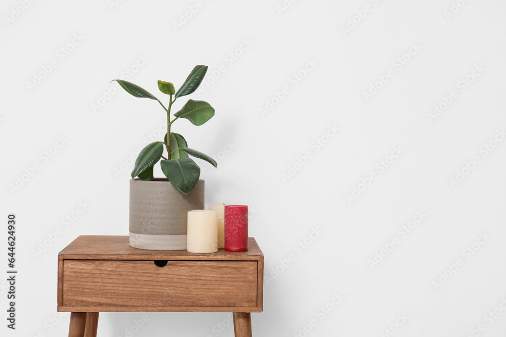 Green plant with candles on table near light wall